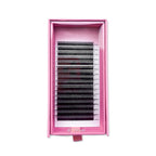 4D Clover Lashes