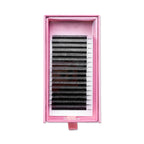 5D Clover Lashes