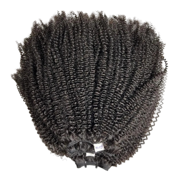 100% Curly Raw Virgin Vietnamese Hair Weft